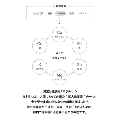 MINE 毛髪ミネラル検査キット