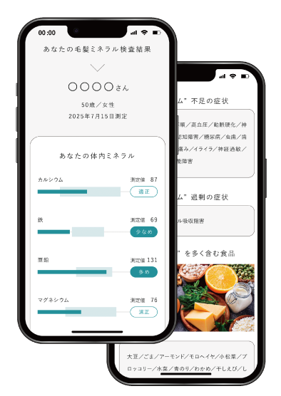 MINE検査レポートのスマホ画面